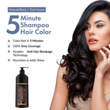 Argan Speedy Hair Color Shampoo 300ml Pack of 1